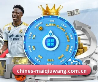 买球网 APP 深度功能(maiqiuwang)